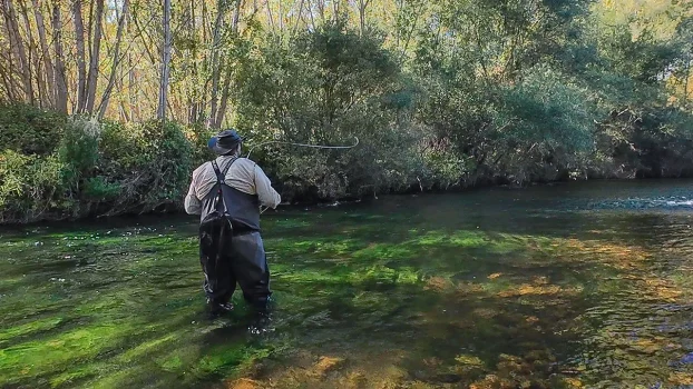 pescador lanzando al agua en un río de León durante una jornada de pesca a mosca