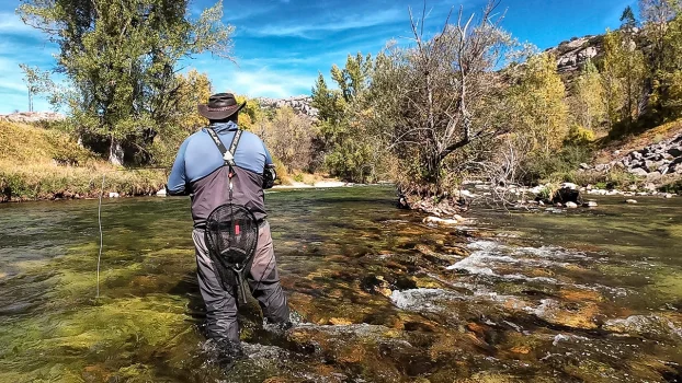 pescador de mosca observando las corrientes de un río de meseta