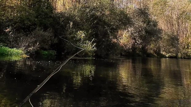 Línea de pesca a mosca sobre el agua en un río de meseta, mostrando una presentación natural.