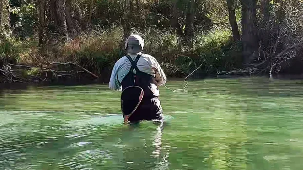 Pescador de mosca de espaldas en el agua mientras la línea y el bajo se extienden en el aire