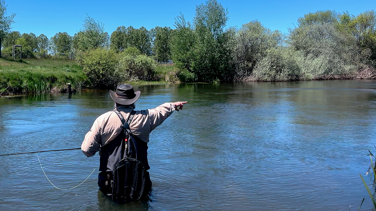 Pescador a mosca de espaldas, dentro del río, señalando una zona de corriente mientras analiza el flujo del agua durante una sesión práctica de lanzado.