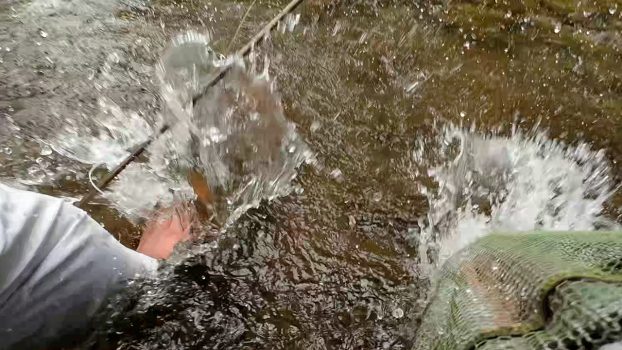 Caída en el río durante una jornada de pesca, con las manos apoyadas en el agua y una gran salpicadura.