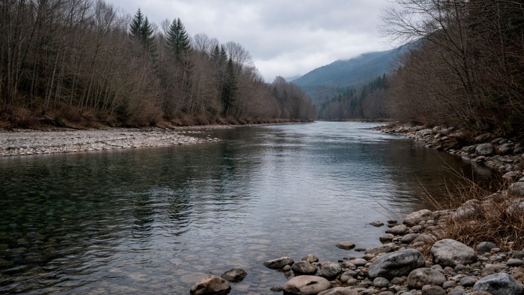 Tramo amplio de río en invierno, sin pescadores ni señales claras, en un día tranquilo y sin urgencia