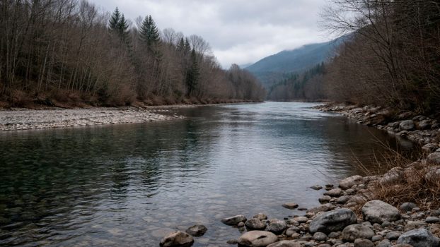 Tramo amplio de río en invierno, sin pescadores ni señales claras, en un día tranquilo y sin urgencia