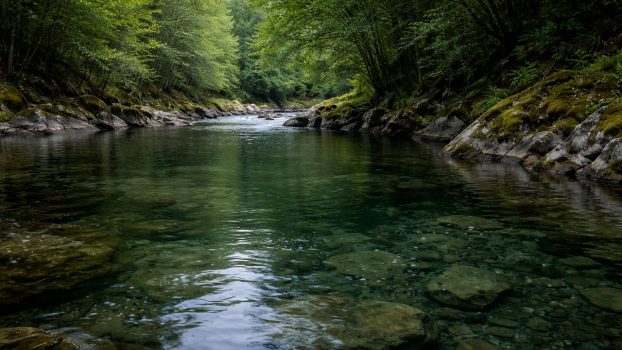 Pozo tranquilo de un río del norte de España con agua calmada y fondo visible, escenario típico de pesca de truchas por observación.