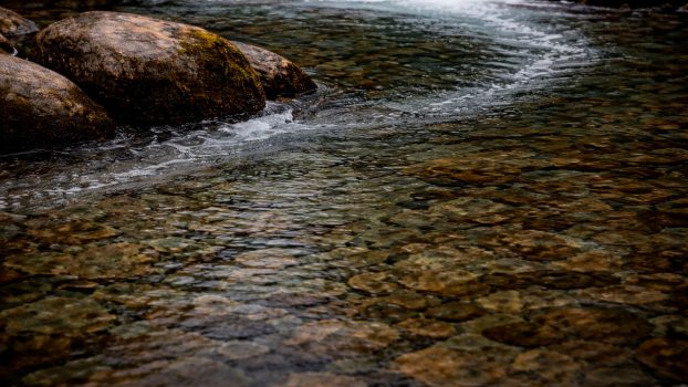Corriente y pool en río de truchas donde la precisión al poner la mosca es clave