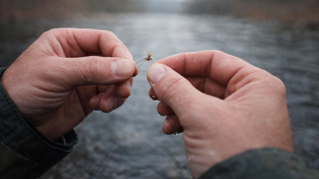 Manos de pescador atando una mosca seca al inicio de temporada en un río frío