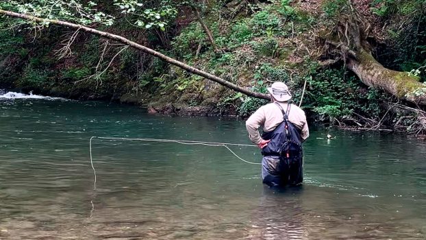 Pescador parado en el río con la línea sin tensión, mostrando un problema de control en el lanzado a mosca