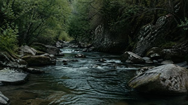 río técnico de pesca a mosca con corrientes y obstáculos que obligan a decidir dónde lanzar